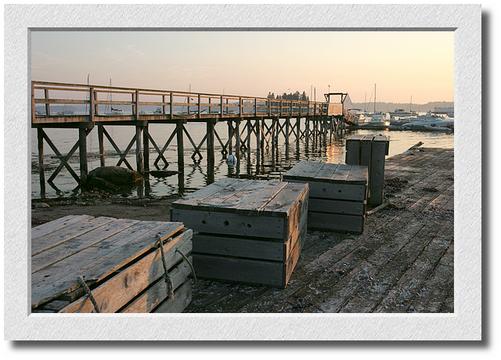 Boothbay Boxes