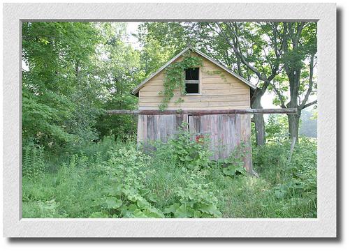 Old Shed, Rte. 20