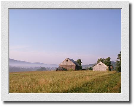Dawn Mist and Barns