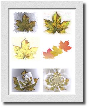 Another Leaf Composite