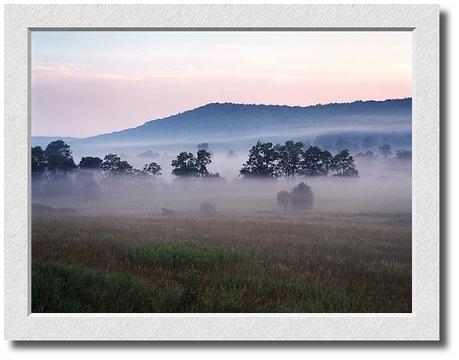Morning Fog Butternut Hill #1