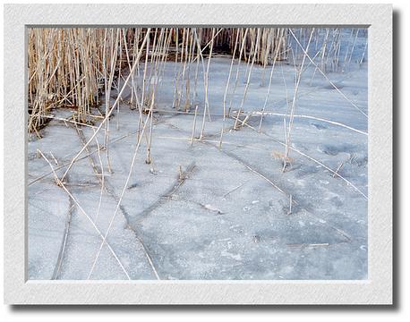 Niles Pond Ice