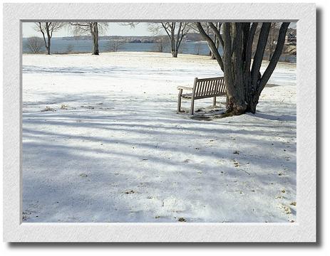 Ocean Lawn Bench and Snow