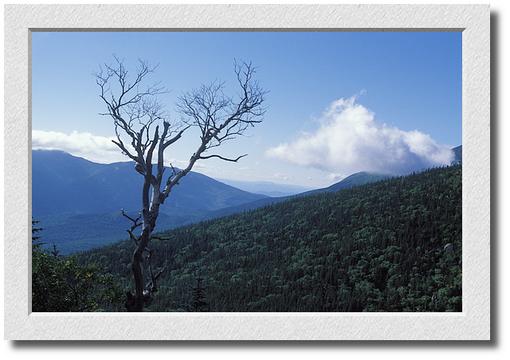 Mt. Washington from Mt. Madison