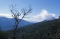 Mt. Washington from Mt. Madison